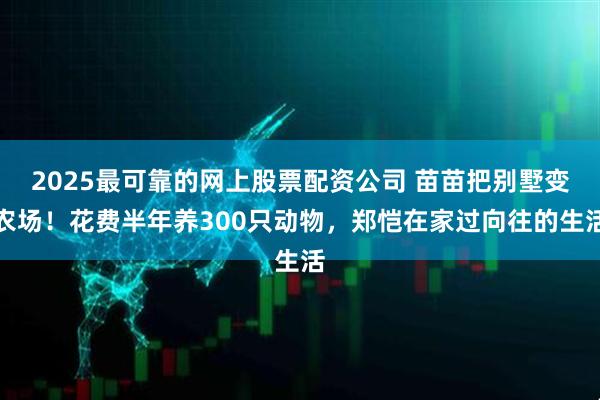 2025最可靠的网上股票配资公司 苗苗把别墅变农场！花费半年养300只动物，郑恺在家过向往的生活